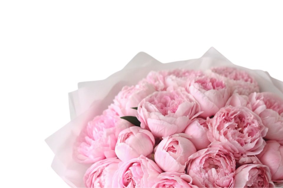 Пионовидные розы